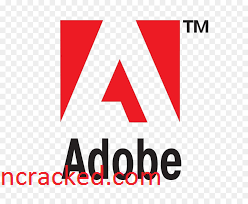 Adobe Animate 2021 Crack