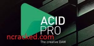 acid pro torrent crack