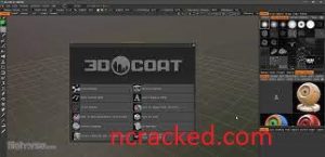 3D Coat 4.9.74 crack