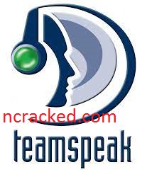 TeamSpeak Server 3.13.5 Crack 