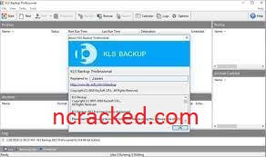 KLS Backup Professional 10.0.3.7 Crack 