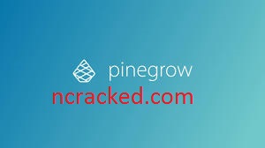 Pinegrow Web Editor 6.0 Crack