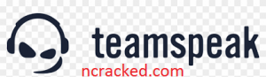 TeamSpeak Server 3.13.5 Crack 
