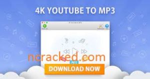 4K YouTube to MP3 4.2.0.4450 Crack