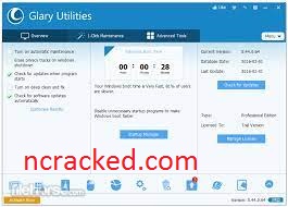 Glary Utilities Pro 5.189.0.218 Crack